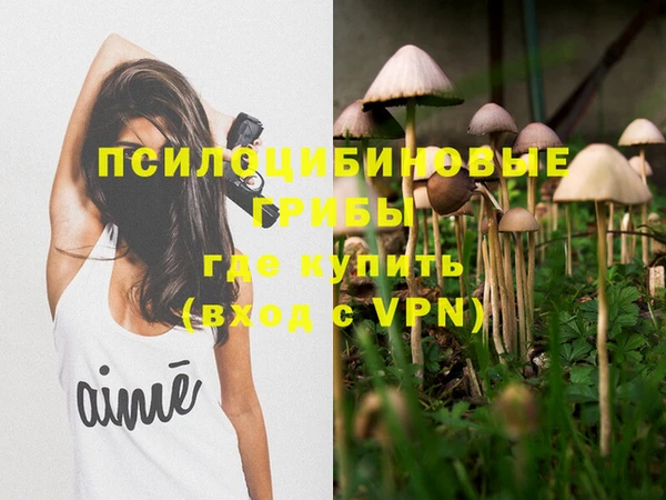 дживик Богородск