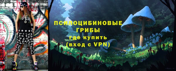 дживик Богородск
