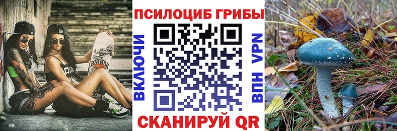 Галлюциногенные грибы Psilocybe  Ижевск 